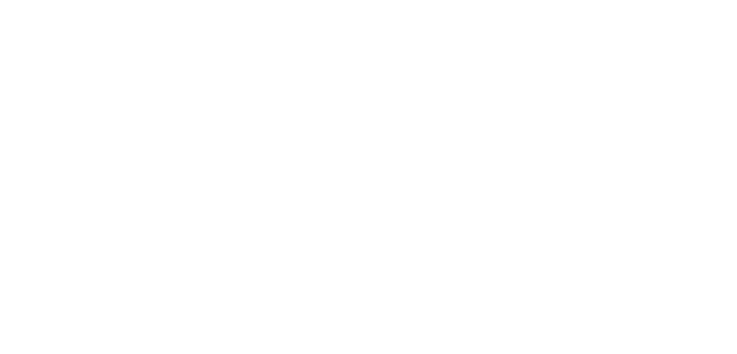 Kenya nut Company