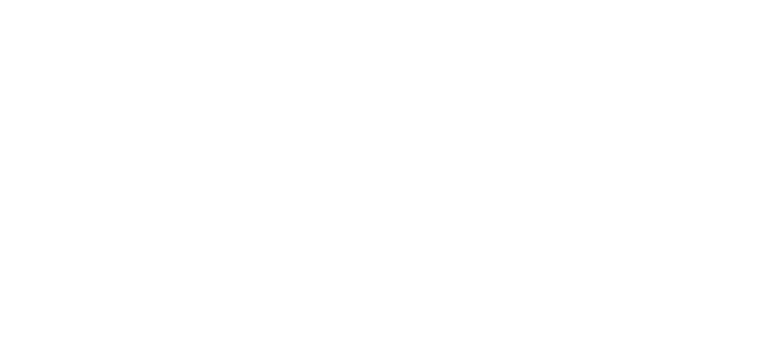 Vision Logo